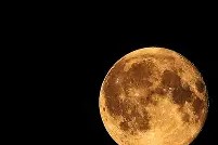 跑步机上快走30分钟能减肥吗