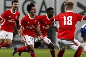 欧篮联赛程吃紧，本菲卡今晨再遭质疑，引发热议，球队文化再被提及