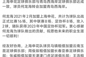 NBA常规赛倒计时，上海申花冲刺阶段绝杀压哨，细节引发关注，气氛紧张，细节决定成败